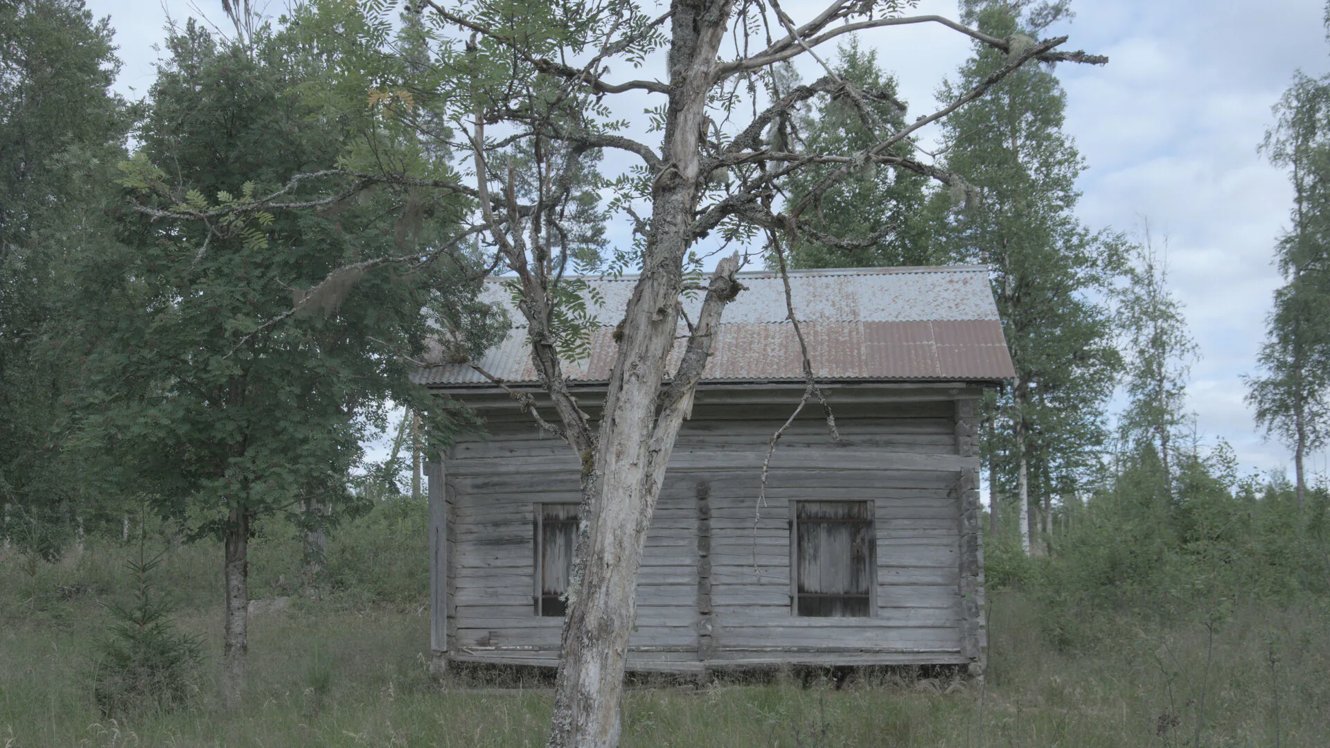 Eine Holzhütte im Wald mit geschlossenen Fensterläden